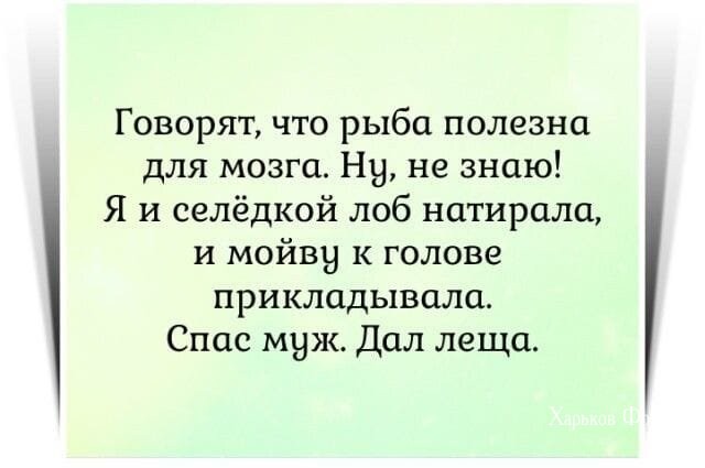 71c1fd5b00e0b372e1.jpg