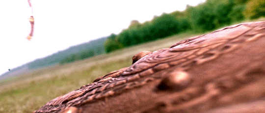 71cbe5cb52fbc7dd8515d55d3c3080b1d3b979e6.gif
