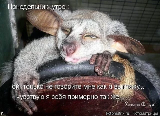 71d8fd906aff38c92.webp