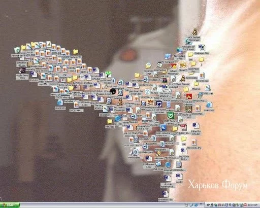 71dfdc216e67e0482e0ba9f1.webp