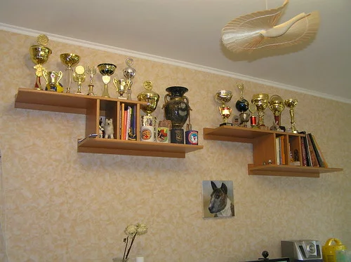 7201295748_3891002b44.webp