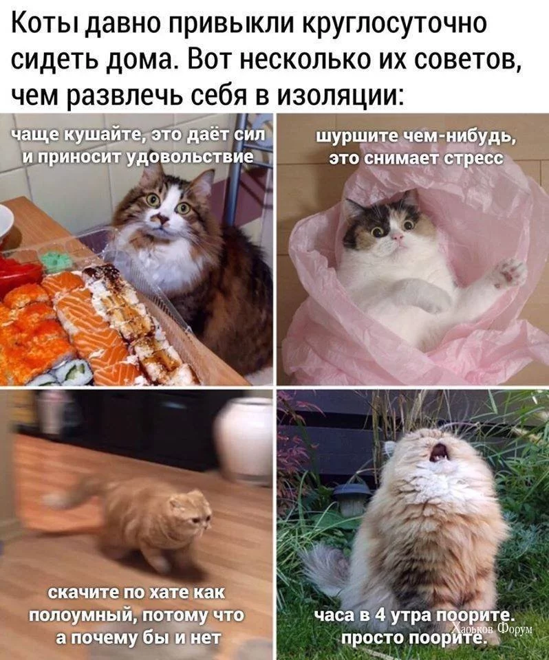 720397aeb3c40625ed08.webp