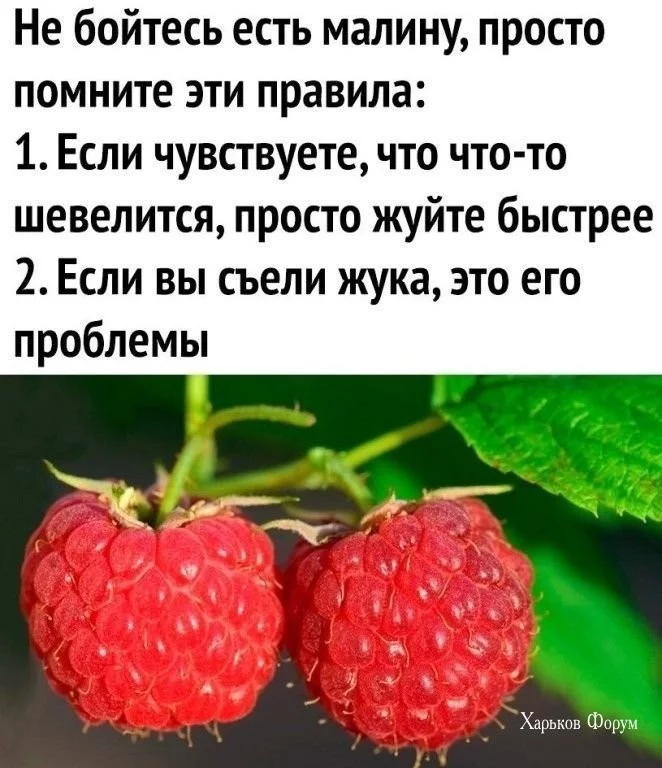 7207f6d6d91e68a6ca1b.webp