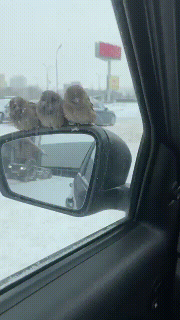 720d8bffd5a2eac9af1820.gif