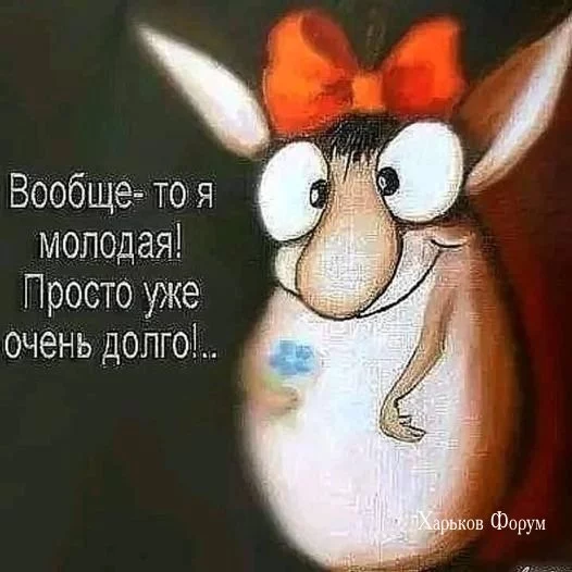 7210834914e0b4c02ea.webp