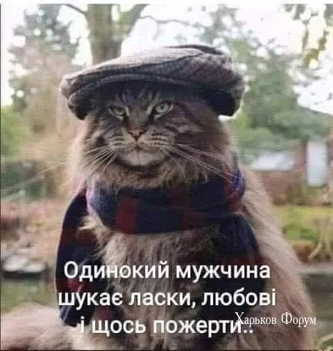 72169865c77e8154564f94f.webp