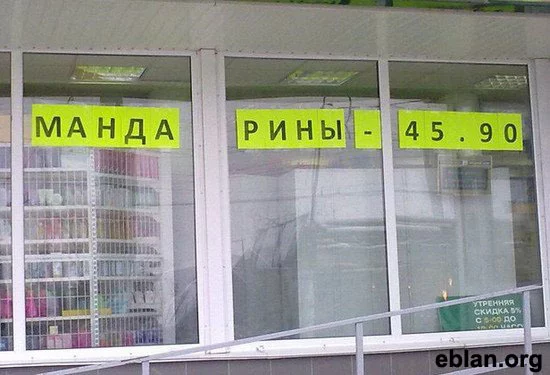 7229862.webp