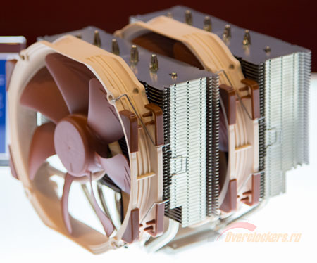 722_noctua.jpg