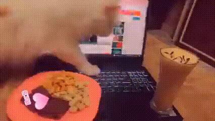722d90898252760fe69d2c6.gif