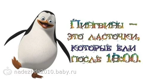 7230768.126669728.webp