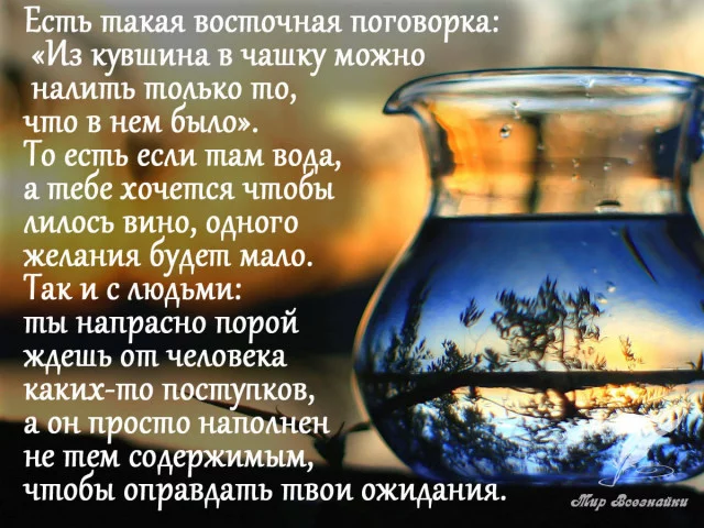 7233c52b7d6c223d9e549c11727e395d.webp