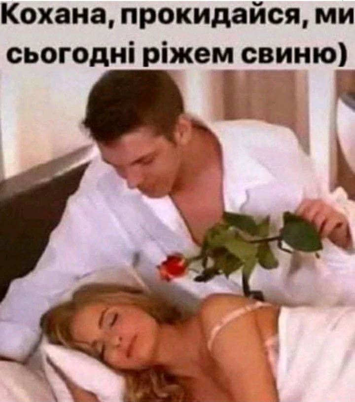 72438393a00ad17a685ea6c166b4f454.webp