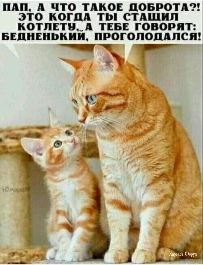 724f376e636d464bb.webp
