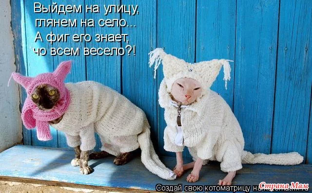 7252687_82633.webp