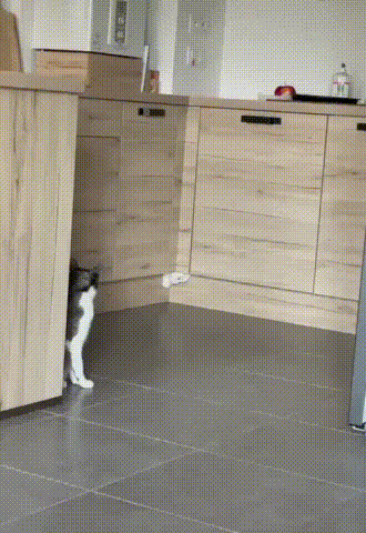 725711d2380230256d767ae.gif