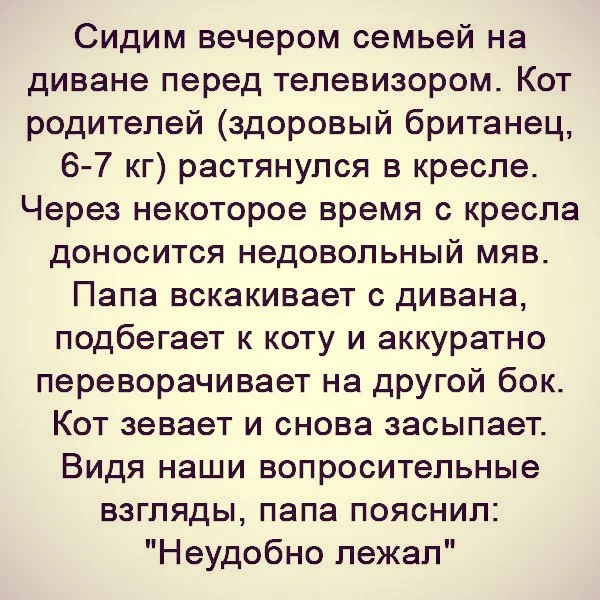 7259e6865ede6870b6ec668e64ae5c7a.webp