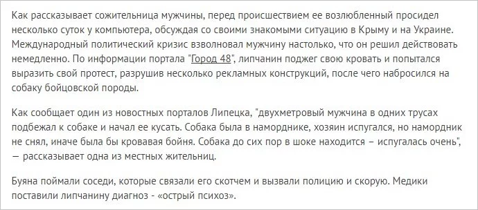 7264719_original.webp