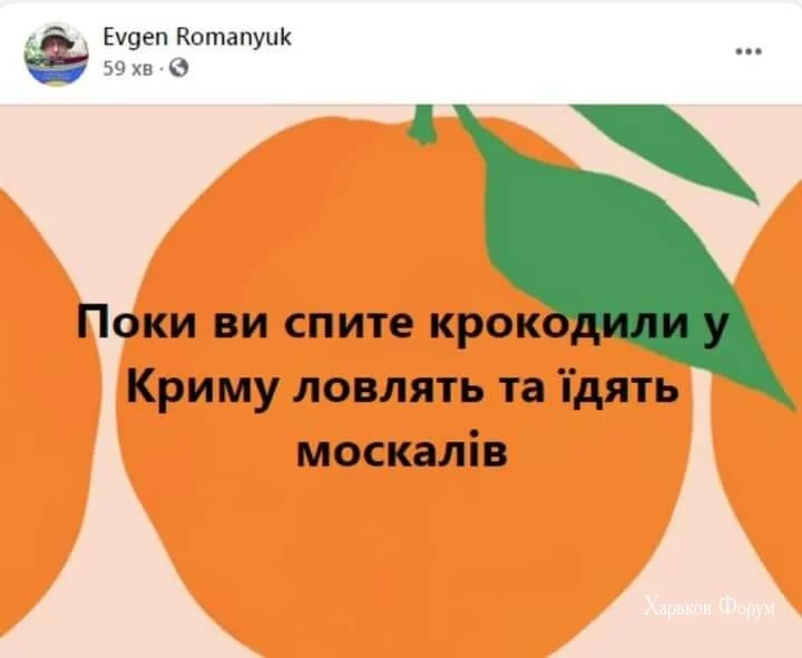 726692a2618ca5b05e8e37.webp