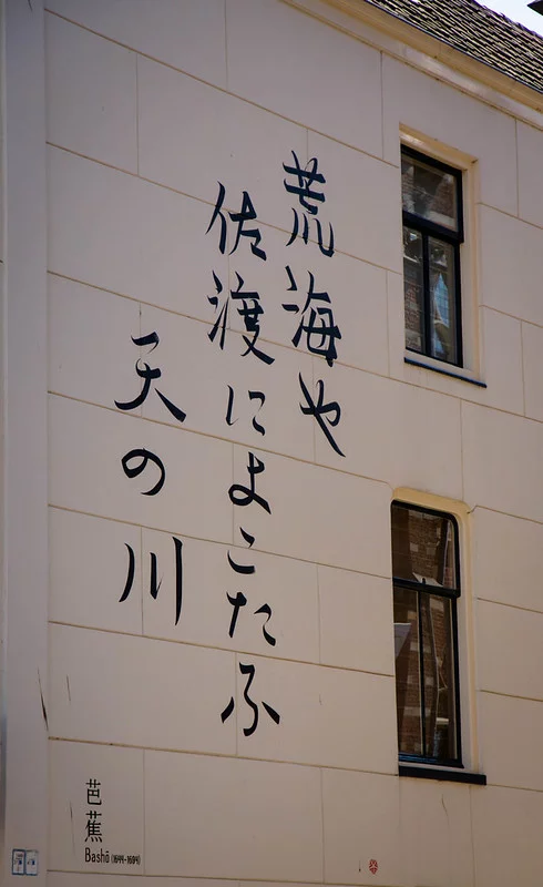 7294055920_c609da3570_c.webp