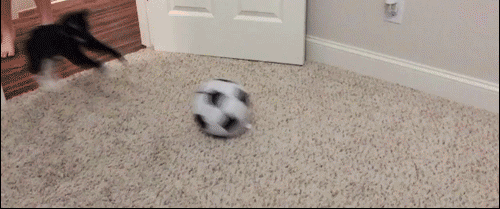 72d0e0805bcb10db9d72086.gif