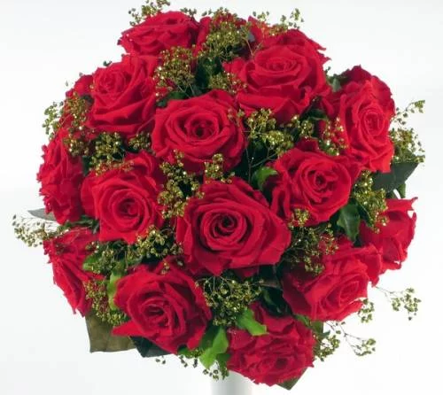 730061764.webp