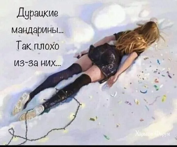 730b922222cd15267d.webp