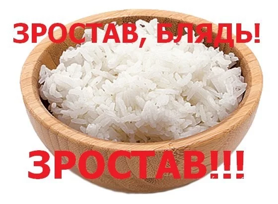 73128eaddcd1c16210eb824d.webp