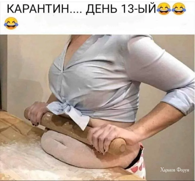 73148141b0fe6d3dd6095f5.webp