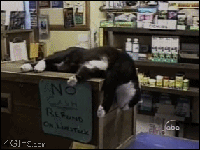 73250171_3180456_006q.gif
