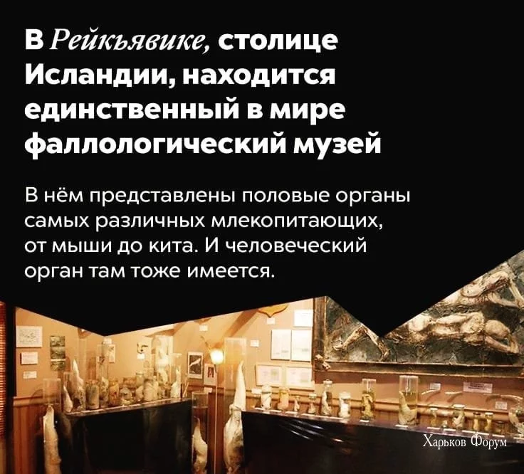 733a4da62c4186eba96d.webp