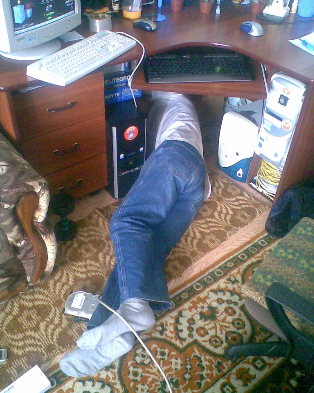 734654304.webp