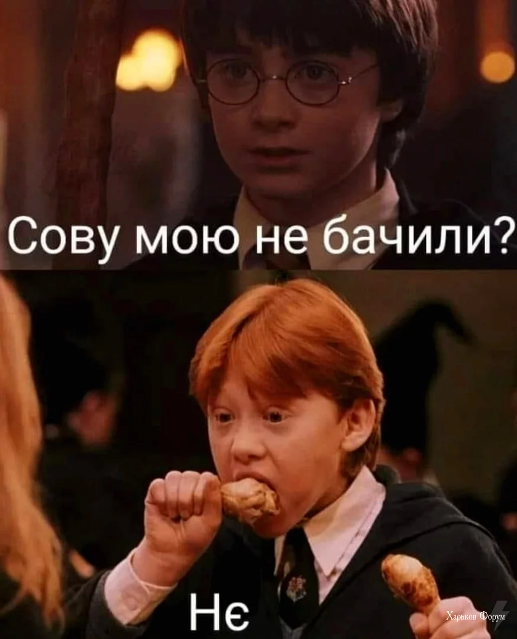 73563ed97e28c5121895c52a.webp