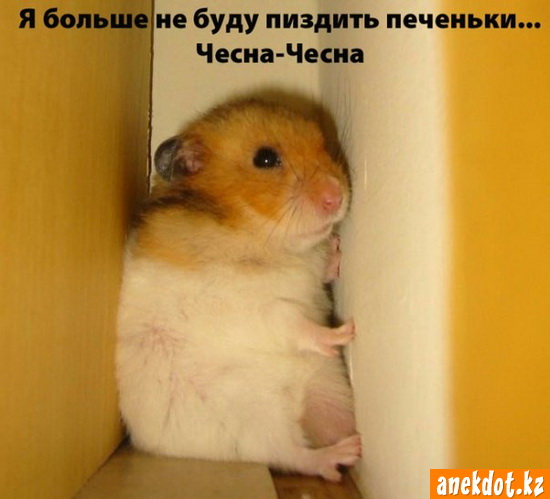 73575503490cc8b2a98bc0bba796c6e1.jpg
