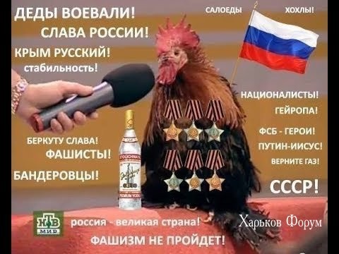 735caa0903a6e51d8dbf.jpg
