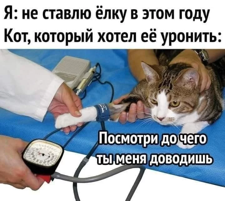 7360253baee45f685c1e99e4.webp