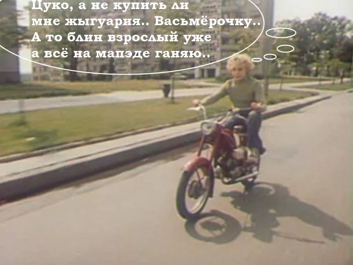 7366.webp