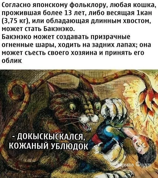 73681ea6f6cf631e4.webp