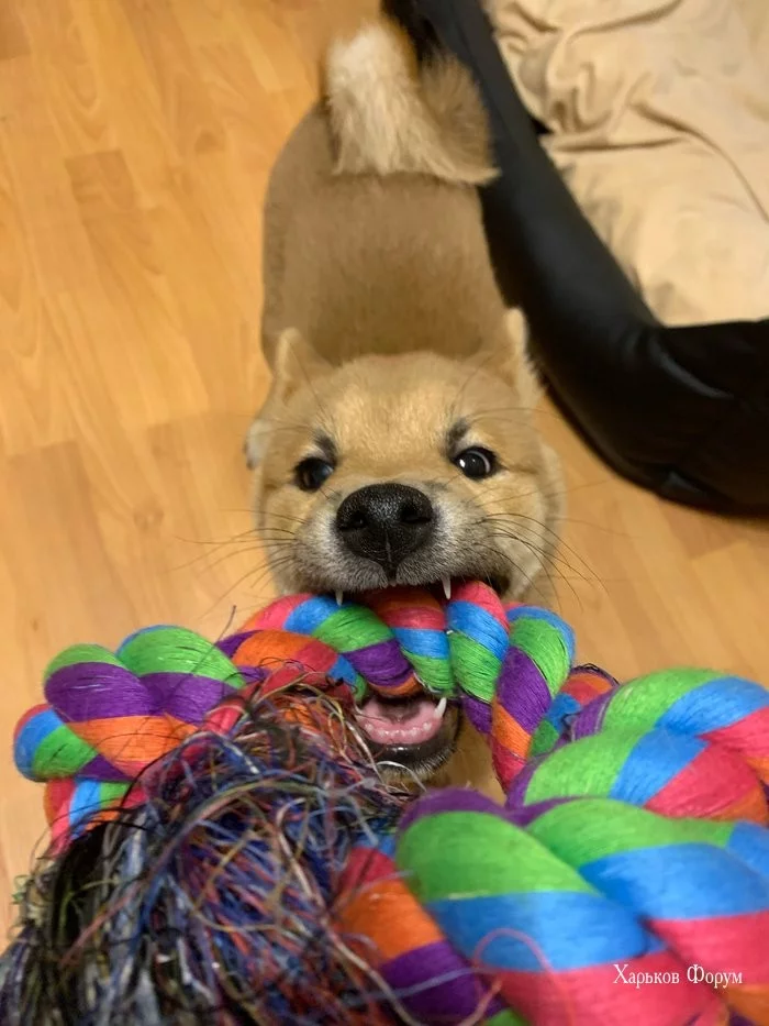 736c7fdbf2204e7479ba91.webp