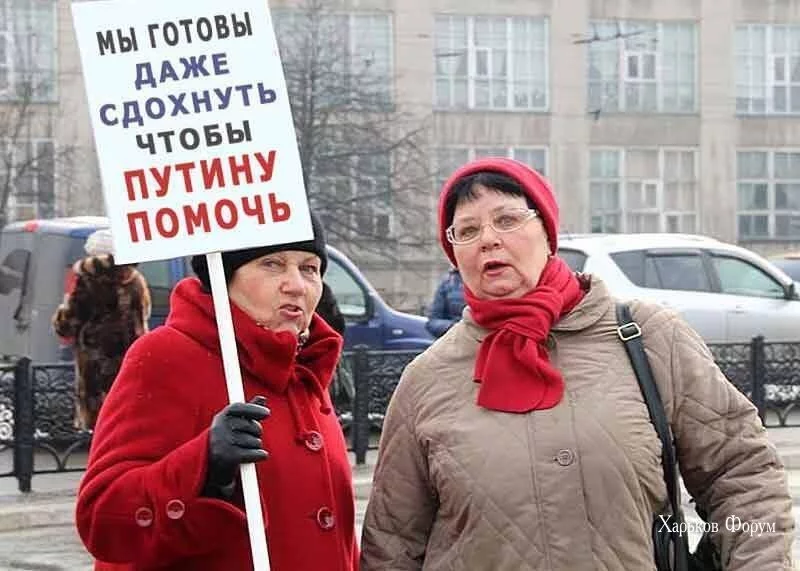 73719e8efb8650ad0635.webp