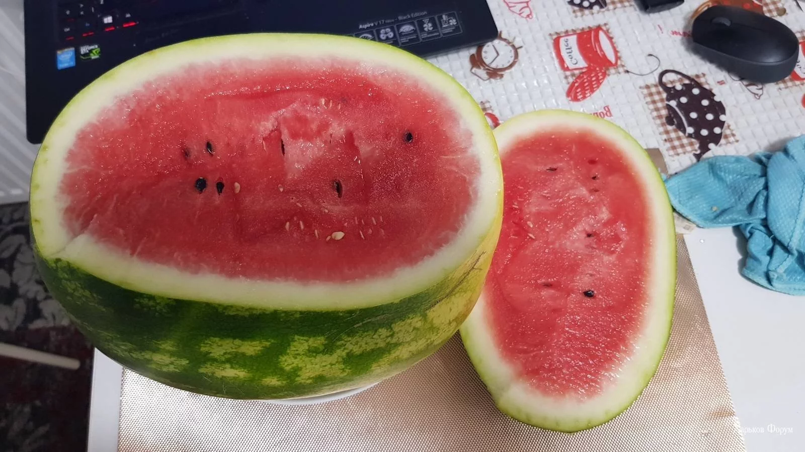 7388cef1452fec2c7e8.webp