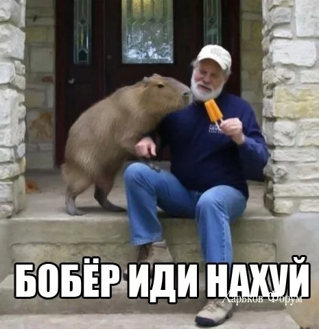 7389bbd44b909bf304a6.webp