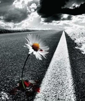 73974355a3deb59fc424a86fb24163a2.webp