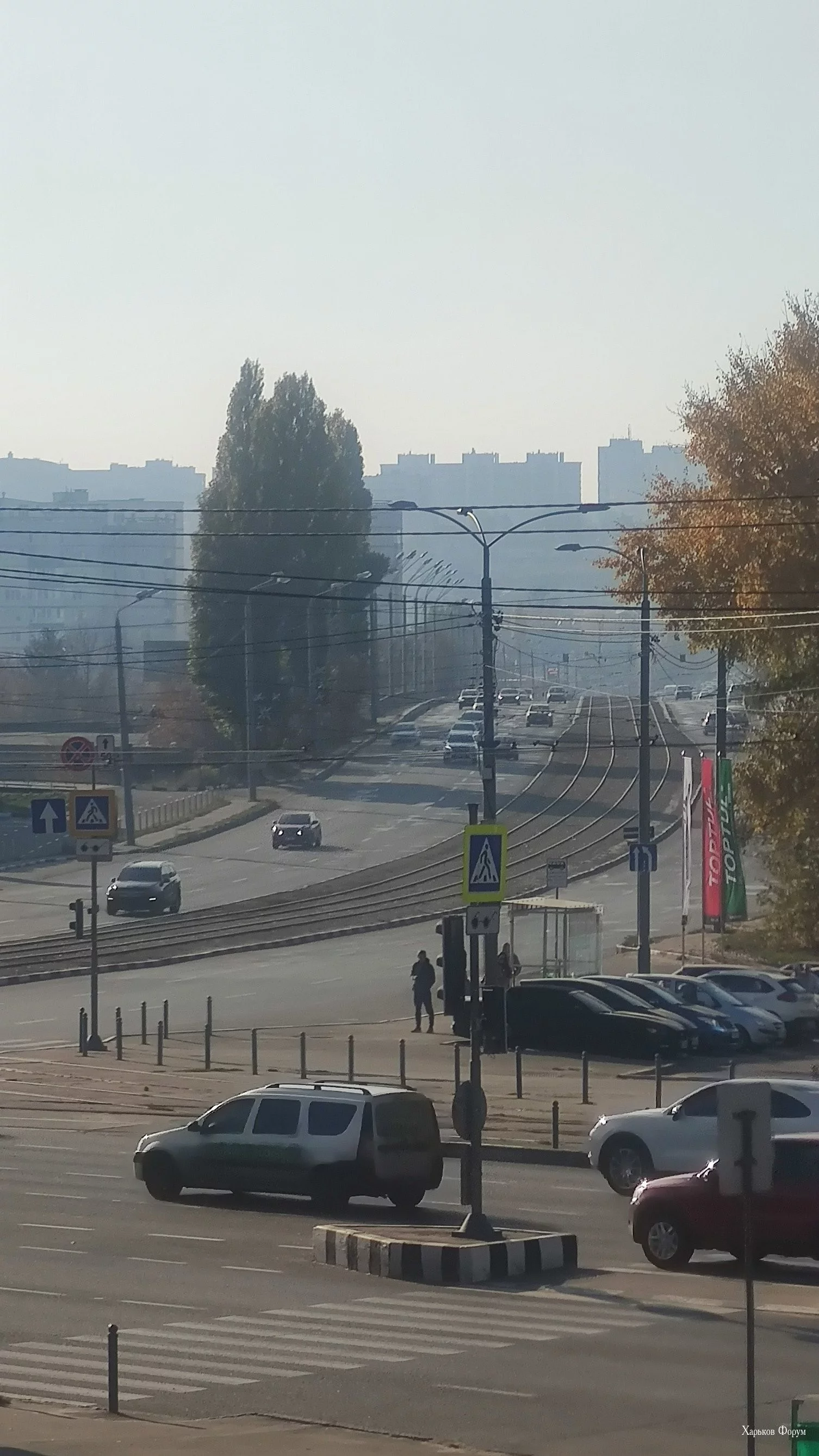 73a9b05d7893acf2.webp
