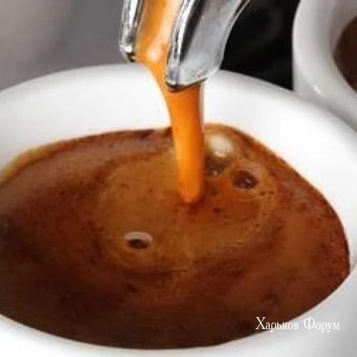 73bc859220ae0e6b18.webp