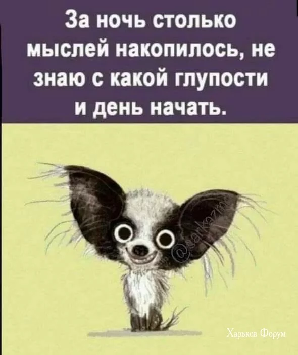 73bdca9ca73283566e.webp