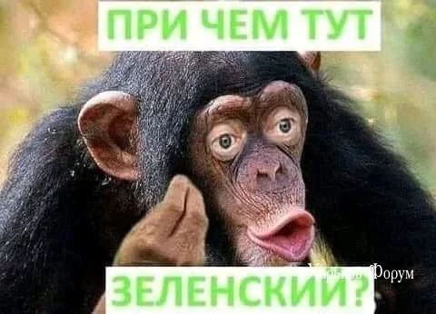 73bfc64644f063cf726bcbcc.webp