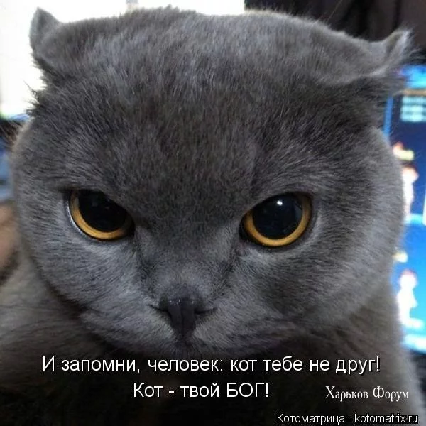 73ca646f1b86622552.webp