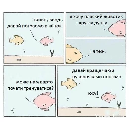 73cb49cd19c528124f2e1520.webp