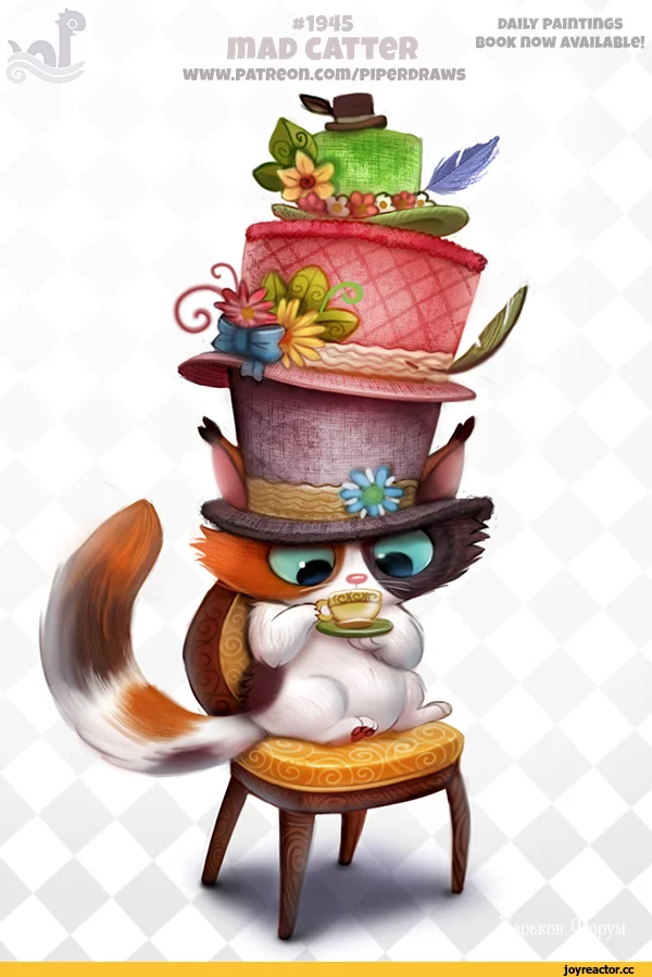 73cdefff61971bd00b.webp