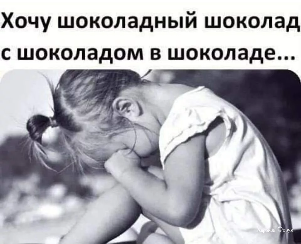 73d923bcc6ab920a.webp